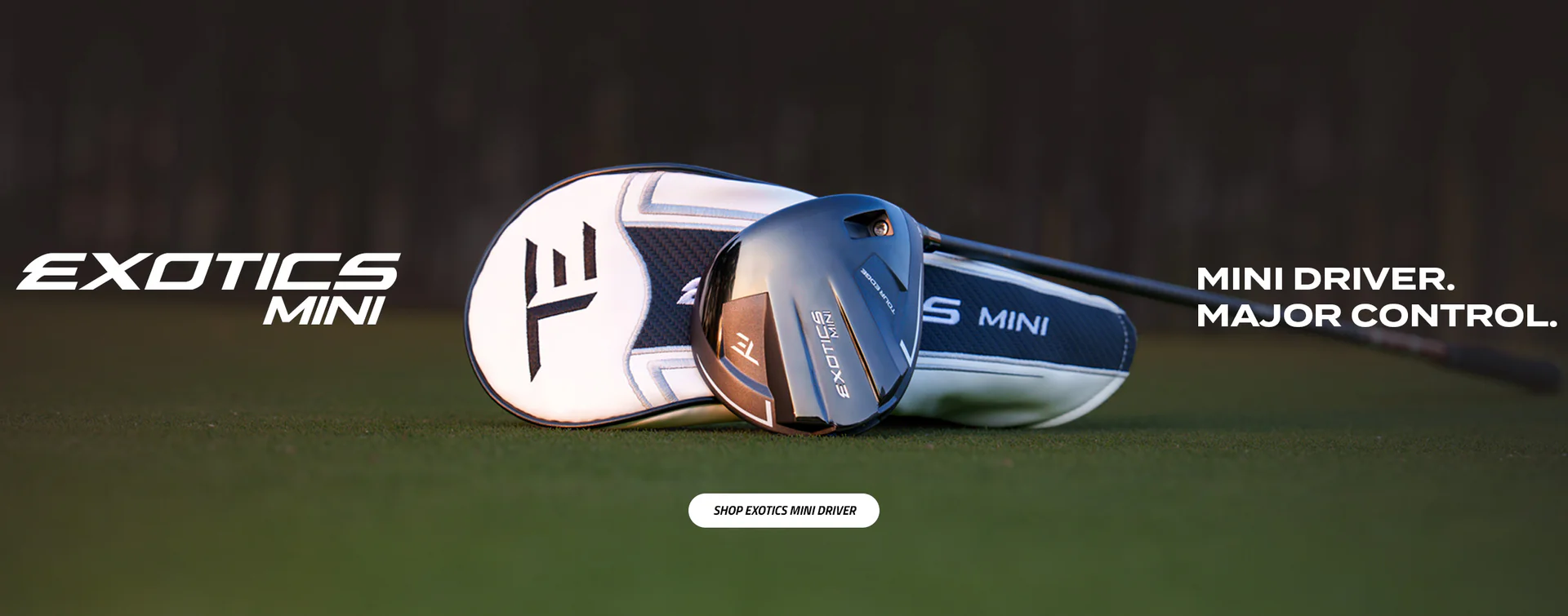 Master Your Game Since 1986